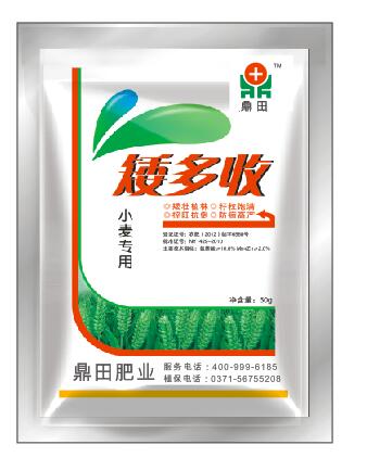 С���������-������